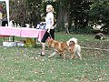 img 156